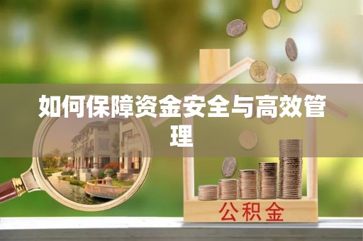 港闸如何保障资金安全与高效管理