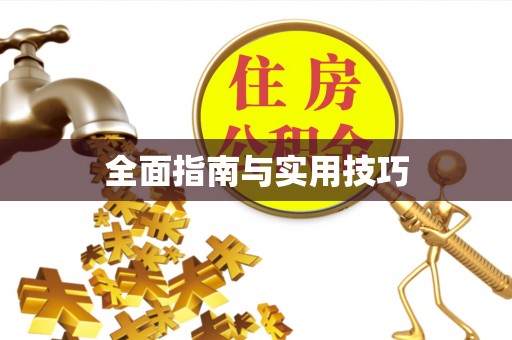 港闸全面指南与实用技巧